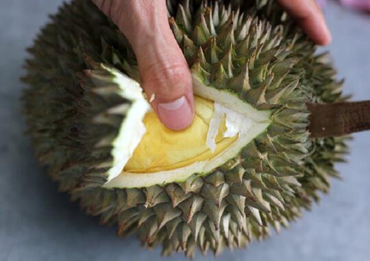 Tips memilih durian yang bagus dan manis