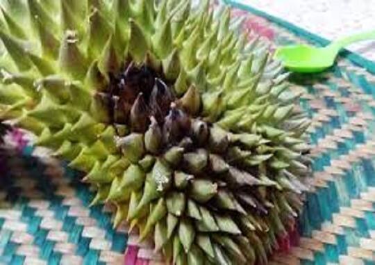 Tips memilih durian yang bagus dan manis