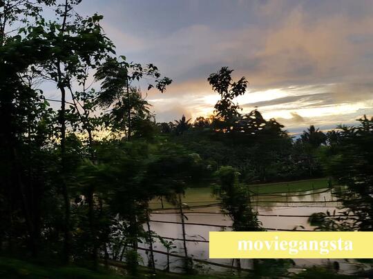 Pertama Kali ke Cianjur & Curug Citambur Naik Bus dari Jakarta