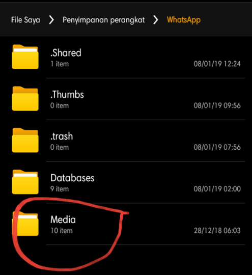 Trik Menyimpan Status WhatsApp Orang Lain Tanpa Aplikasi Tambahan