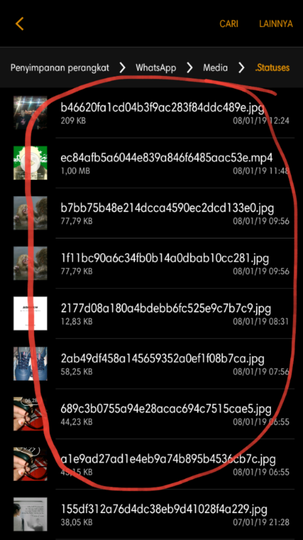 Trik Menyimpan Status WhatsApp Orang Lain Tanpa Aplikasi Tambahan