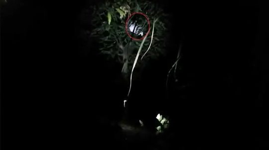 Cuma Di Channel Ini Hantu Gak Ada Harga Diri