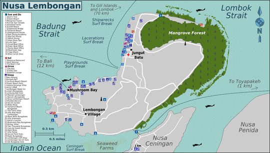 Destinasi Wisata Nusa Lembongan, Bali