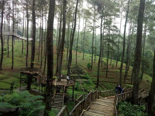 Orchid Forest Cikole Wisata Alam Kekinian Di Bandung Kaskus