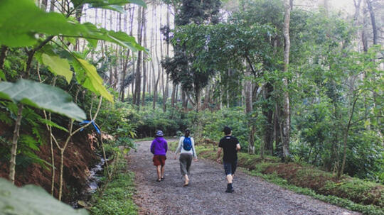 7000 Koleksi Hantu Gunung Puntang HD Terbaik