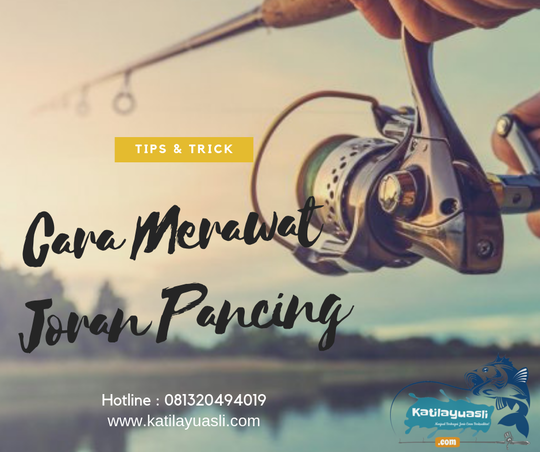 Tips Cara Merawat Joran Pancing Agar Tidak Mudah Rusak