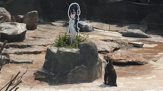 WADUH! Grape Kun,Seekor Penguin Yang Jatuh Cinta Sama "ANIME CANTIK"!