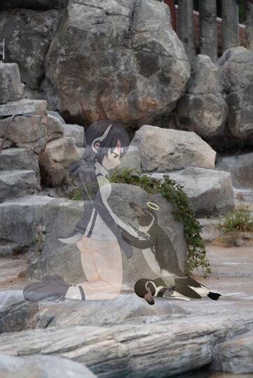 WADUH! Grape Kun,Seekor Penguin Yang Jatuh Cinta Sama "ANIME CANTIK"!