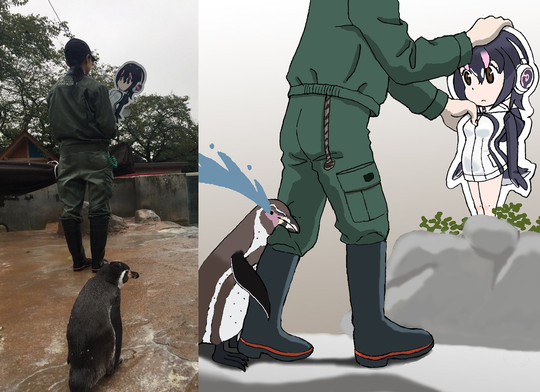 WADUH! Grape Kun,Seekor Penguin Yang Jatuh Cinta Sama "ANIME CANTIK"!