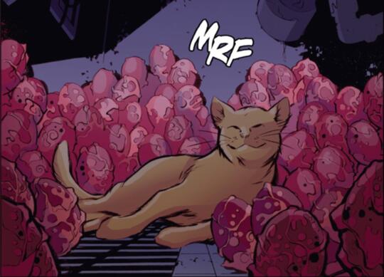 Kupas Misteri Kucing Alien ‘Peliharaan’ Captain Marvel?