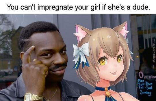 The Science of Waifu dalam Perspektif Seorang Wibu