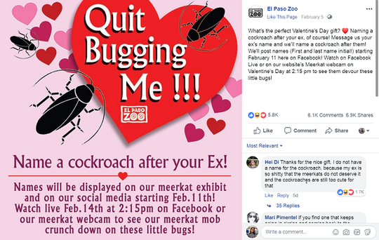 Kebun Binatang Ini Ajak Netizen Buat Kasih Nama Kecoak dengan Nama Mantan