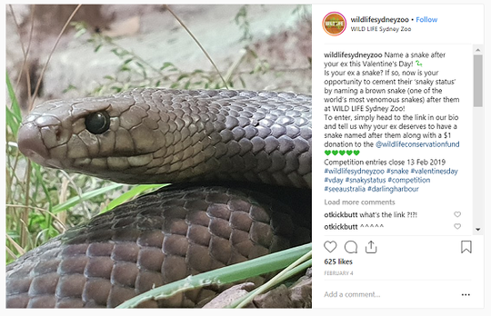Kebun Binatang Ini Ajak Netizen Buat Kasih Nama Kecoak dengan Nama Mantan