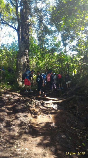 Syukuran, Cerita Satu Kampung Mendaki Bersama Ke Gunung Buthak