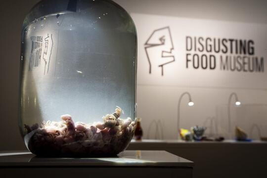 Makanan Paling Menjijikkan yang Dipamerkan di Disgusting Food Museum