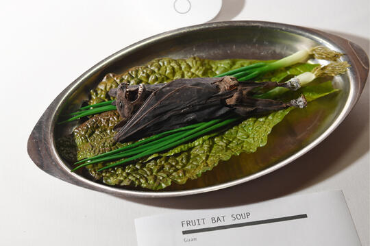 Makanan Paling Menjijikkan yang Dipamerkan di Disgusting Food Museum