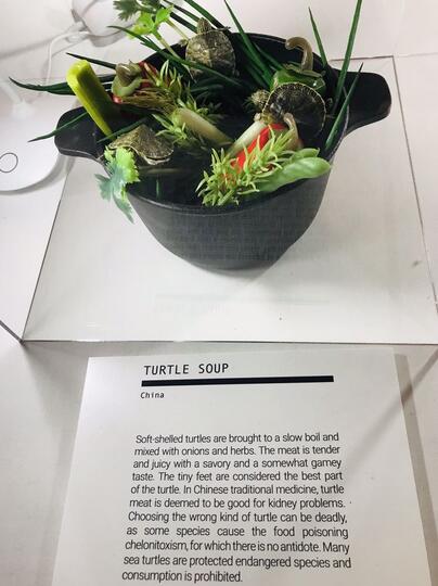 Makanan Paling Menjijikkan yang Dipamerkan di Disgusting Food Museum