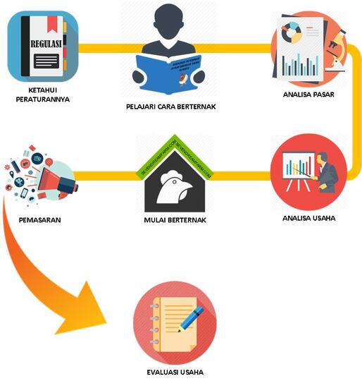 Hasil gambar untuk manajemen usaha peternakan