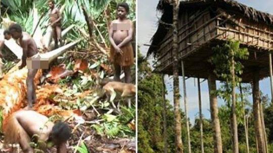 Wanita Cantik Yang Bertelanjang Dada Hidup Di Pedalaman Papua Barat.
