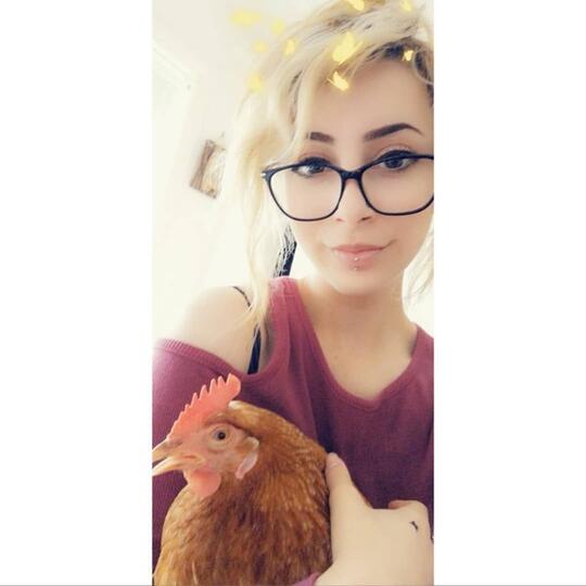 Wanita Cantik Ini Bersahabat Hingga Berkencan Dengan Ayam