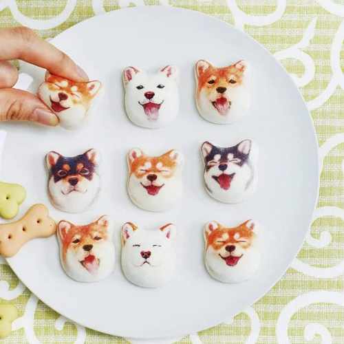 Terlalu Gemes, Marshmallow Shiba Inu Ini Bikin Nggak Tega Makannya