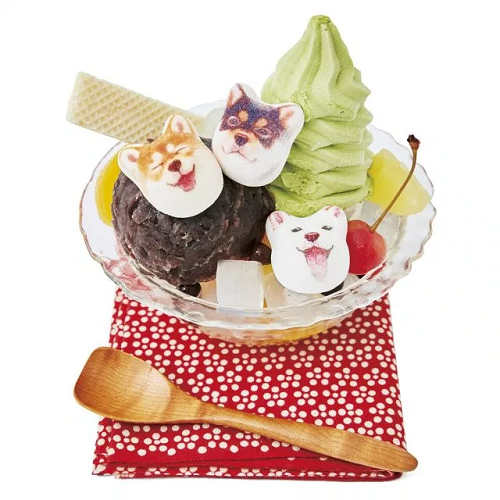 Terlalu Gemes, Marshmallow Shiba Inu Ini Bikin Nggak Tega Makannya