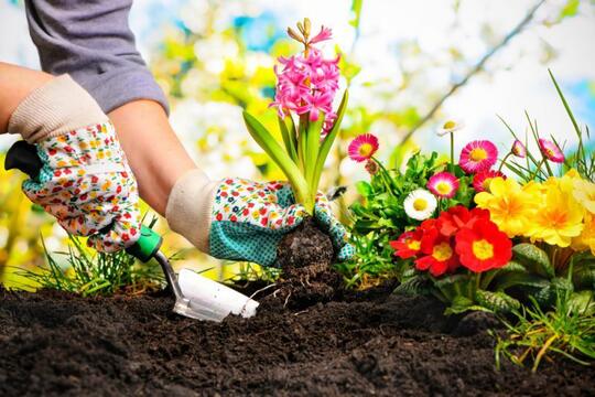 Kabar Gembira Buat Agan Sista yang Hobi Berkebun!