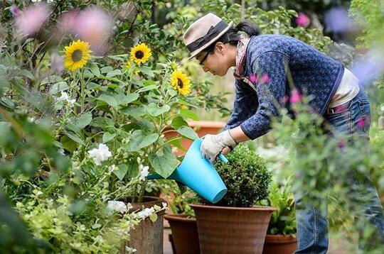 Kabar Gembira Buat Agan Sista yang Hobi Berkebun!