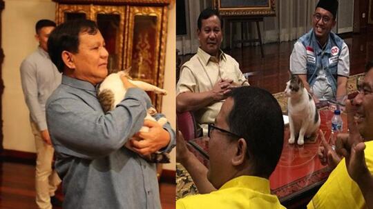 Meong! Bandi jadi Pemenang Lomba Kucing Mirip Milik Prabowo
