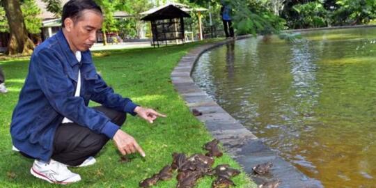 Meong! Bandi jadi Pemenang Lomba Kucing Mirip Milik Prabowo