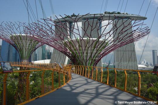Fakta Bandara Changi Singapura dan Sederet Fasilitasnya - Saatnya Impian Jadi Nyata