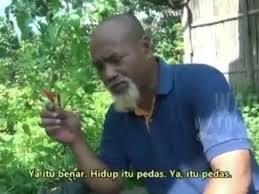 Pak Ndul !! Kreator Petani Yang Sukses Di Ladang Youtube