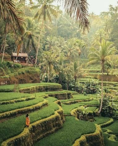Ingin Bulan Madu Romantis di Bali tanpa harus banyak keluar duit?