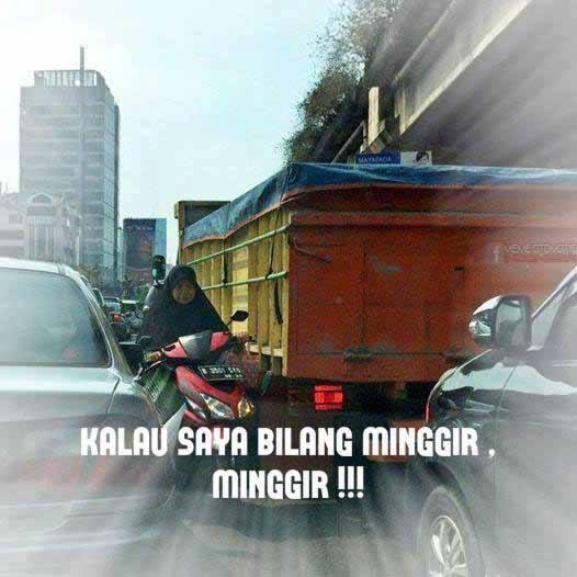 Makhluk yang perlu diwaspadai di jalan raya
