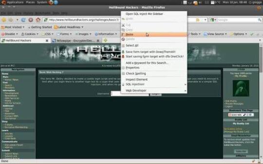 6 Situs yang Sering Digunakan Hacker untuk Belajar Membobol Website