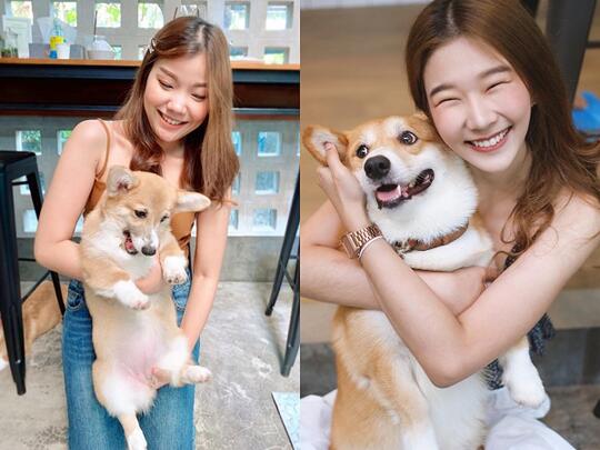 Mau Main Sama Anjing Corgi? Datang ke Kafe Ini Gansist!