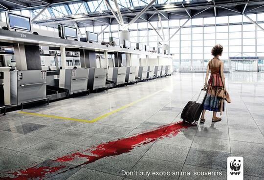 Iklan-Iklan Ini Akan Membuka Mata Kita, Tentang Hewan Yang Telah Diambang Kepunahan