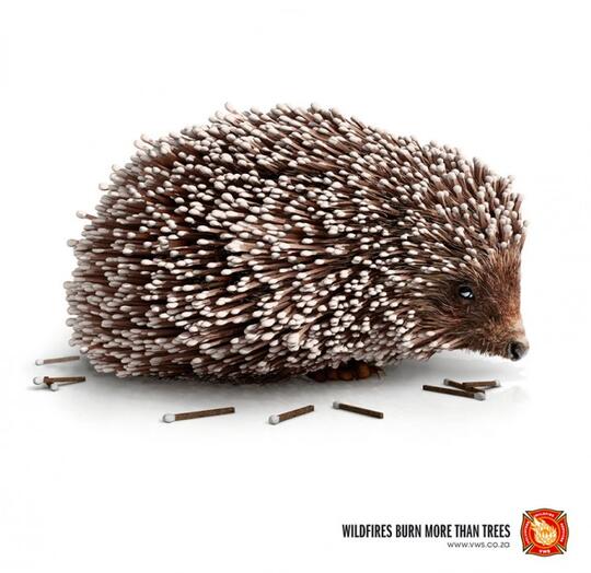 Iklan-Iklan Ini Akan Membuka Mata Kita, Tentang Hewan Yang Telah Diambang Kepunahan