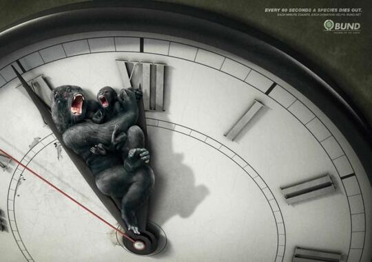 Iklan-Iklan Ini Akan Membuka Mata Kita, Tentang Hewan Yang Telah Diambang Kepunahan