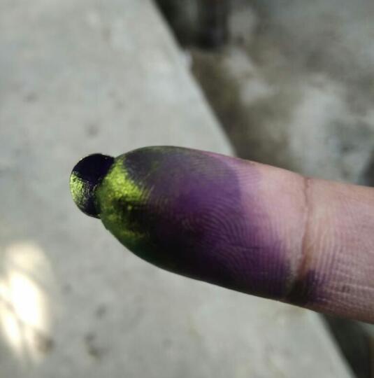 Serunya Nyoblos, Menang Tanpa Merendahkan, Apa Agan Bisa?