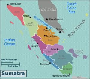 Pulau Mana Yang Bagus Untuk Calon Ibu Kota Negara, Dan Kotanya Cocok Dimana ?
