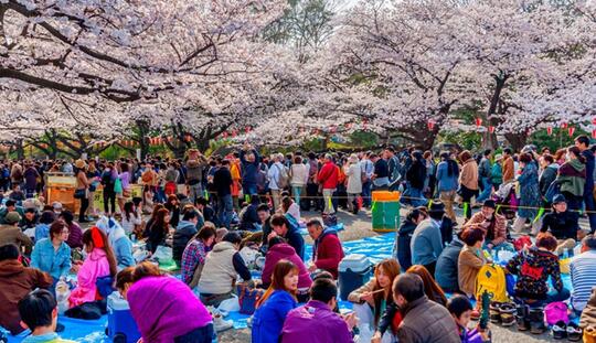 Inilah 4 Hal Bisa Ditiru Indonesia dari Pemilu Jepang yang Damai