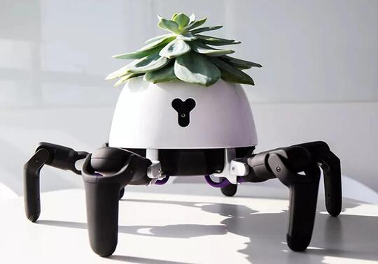 Hobi Tanaman Tapi Sering Lupa Ngerawat, Pakai Robot Pot Tanaman Ini Aja Gan!