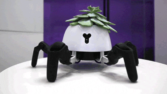 Hobi Tanaman Tapi Sering Lupa Ngerawat, Pakai Robot Pot Tanaman Ini Aja Gan!