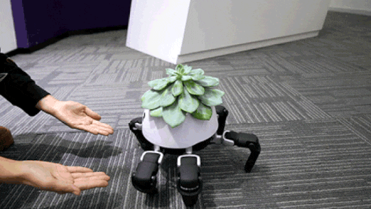 Hobi Tanaman Tapi Sering Lupa Ngerawat, Pakai Robot Pot Tanaman Ini Aja Gan!