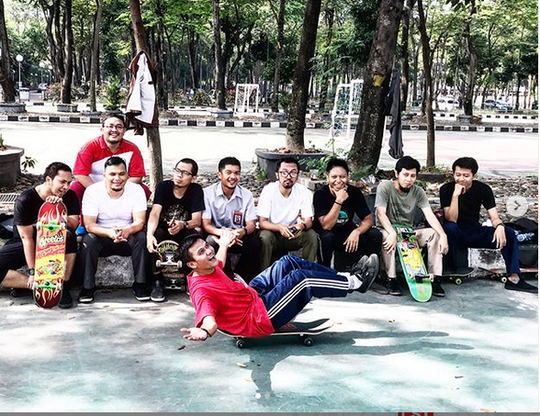 Parlemen skate