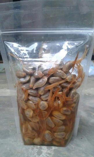 Buah Aneh yang Misterius