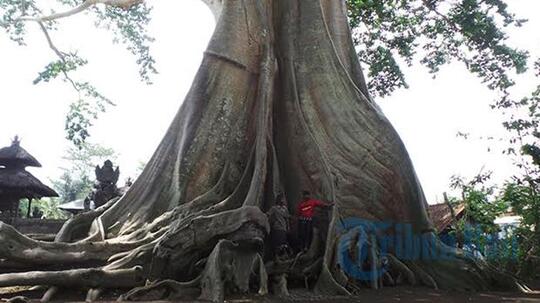 61 Cara Edit Foto Ada Hantunya Terbaik