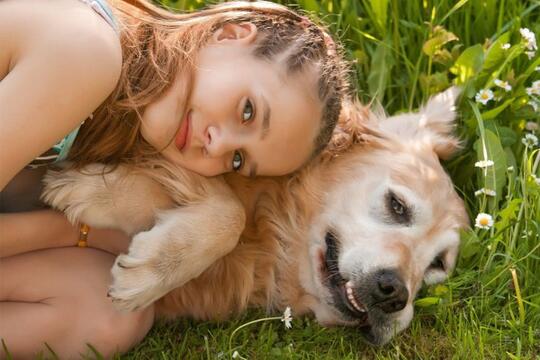 Duka Kematian Hewan Peliharaan Ternyata Lebih Menyakitkan Dari