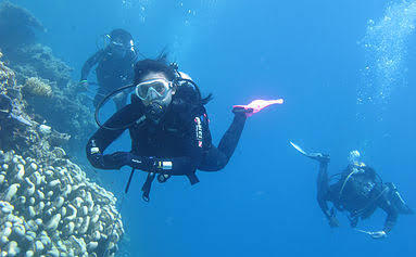 Hati-Hati Perbuatan Asusila Ketika Sedang Diving
